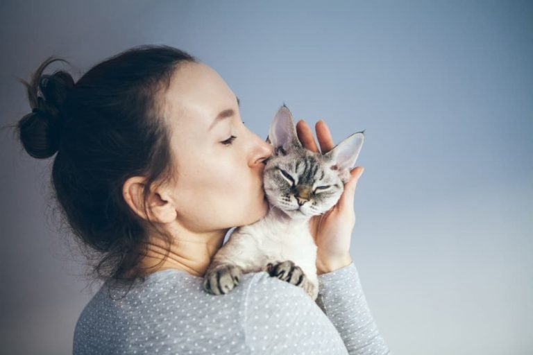 Do Persian Cats Enjoy Being Kissed?