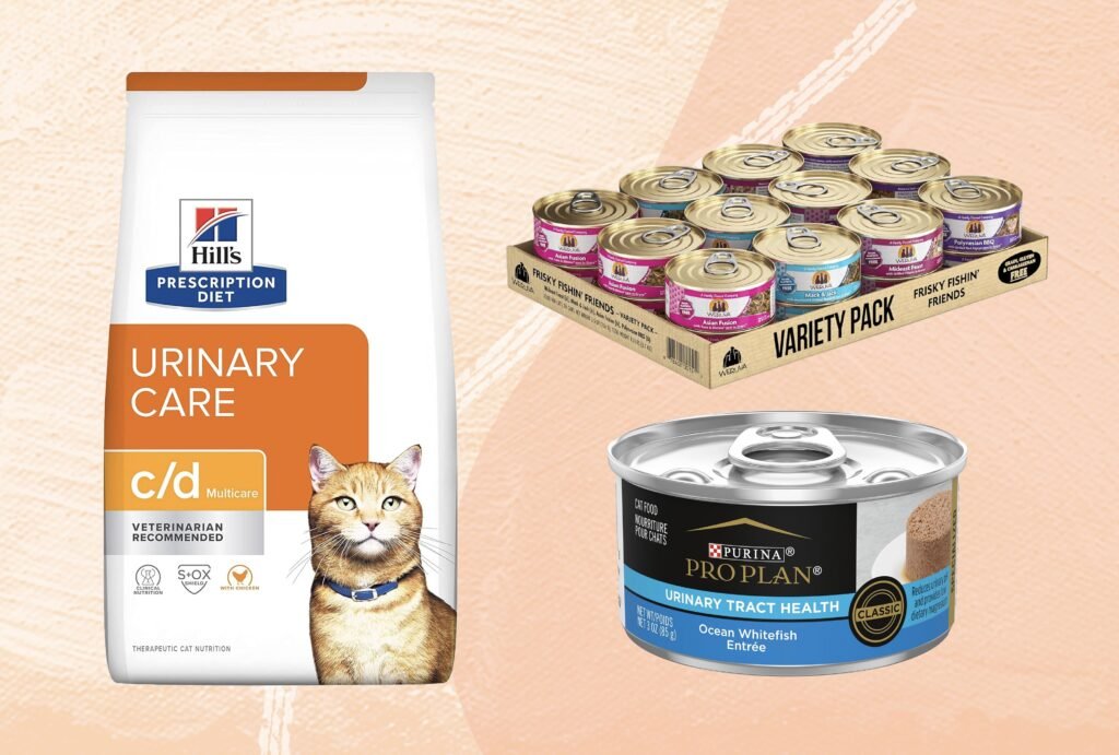 Recommended Food for Persian Cats with Urinary Tract Disease