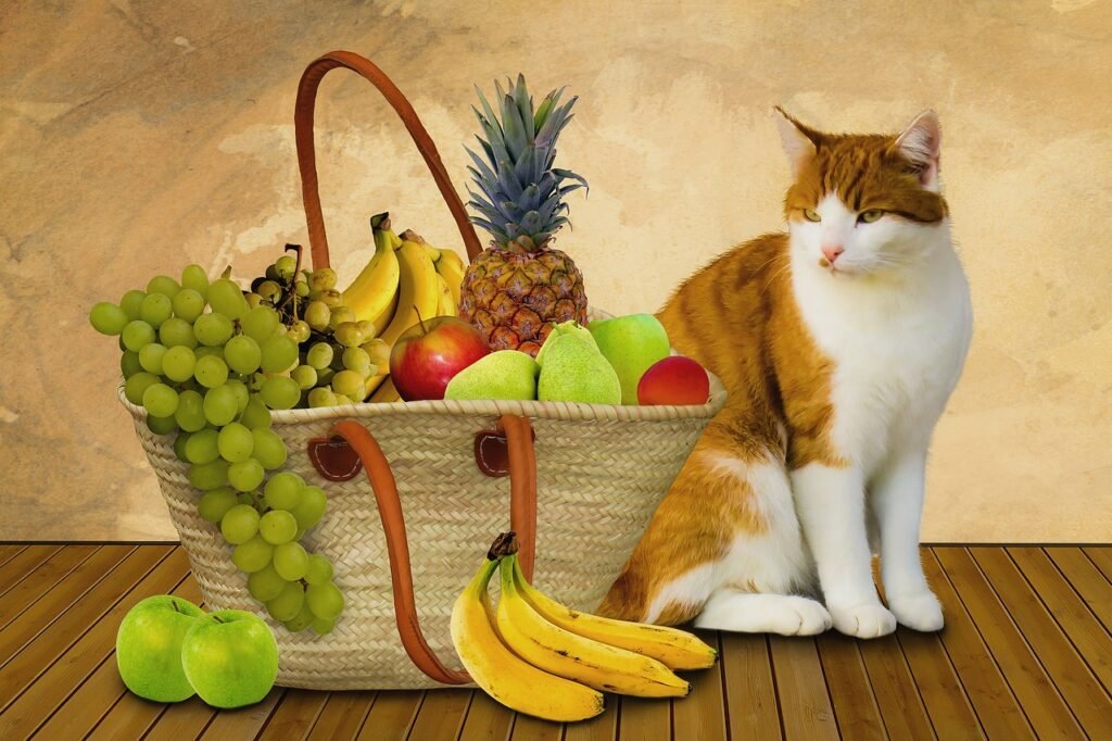 Can Cats Eat Bananas