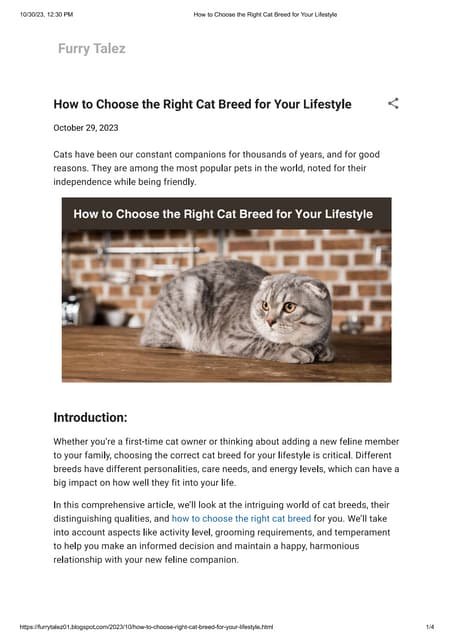 How To Choose The Right Cat For Your Lifestyle