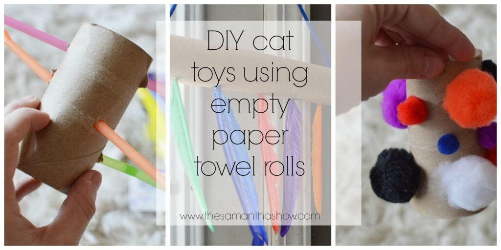 Must-Try DIY Cat Toys For Adventurous Play
