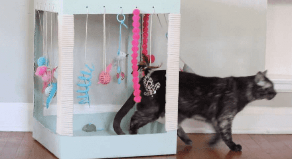Must-Try DIY Cat Toys For Adventurous Play