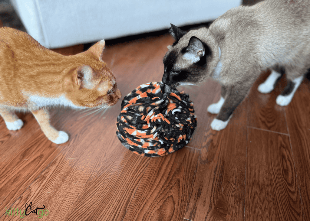 Must-Try DIY Cat Toys For Adventurous Play