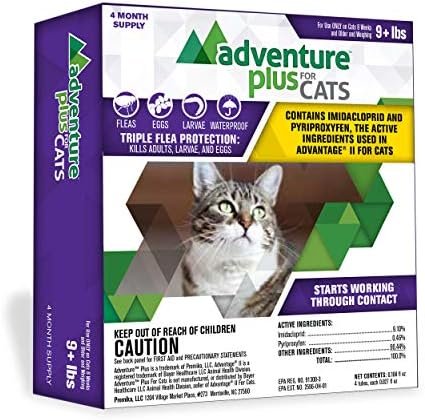 The Benefits Of Adventures For Cats