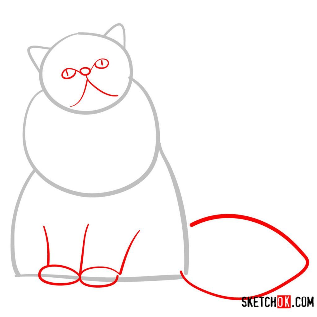 Step-by-Step Guide on Drawing a Persian Cat