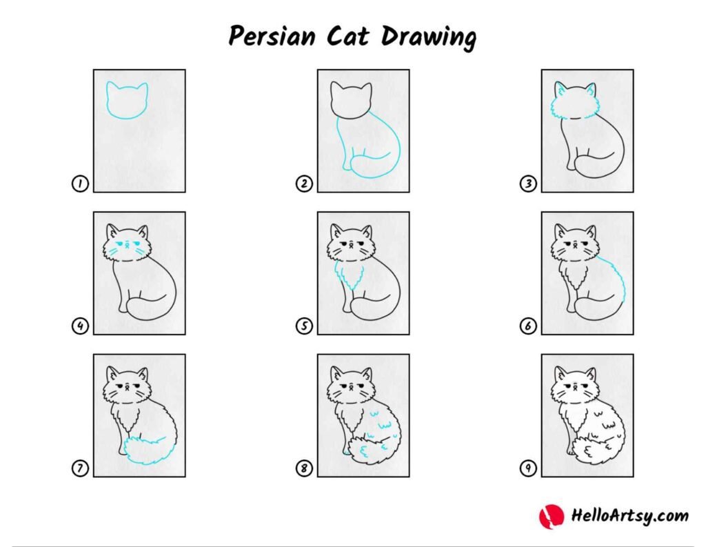 Step-by-Step Guide on Drawing a Persian Cat