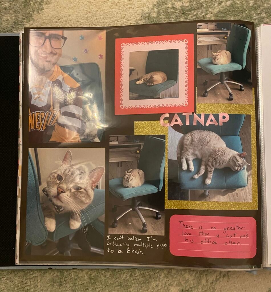 How to Preserve Your Cats Memory Through Storytelling