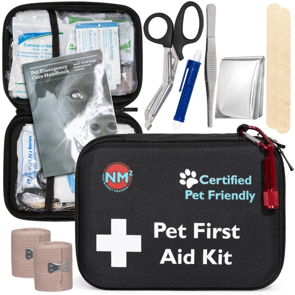 Essential First Aid Supplies For Cat Owners