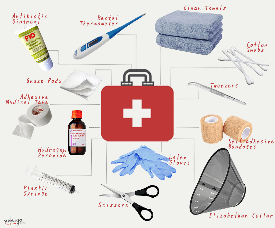 Essential First Aid Supplies For Cat Owners